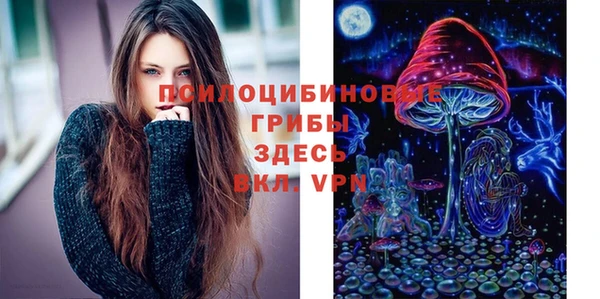 меф Алексин