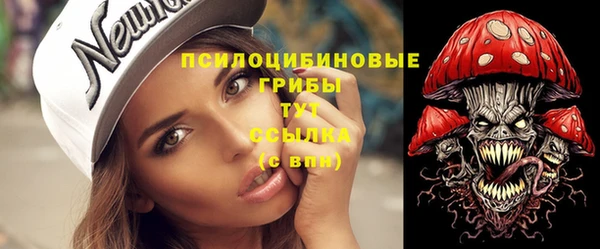 прущие крисы Алзамай