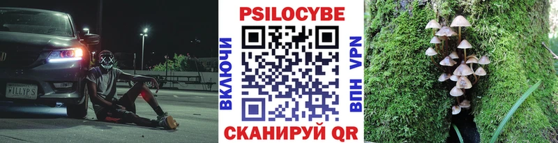 Псилоцибиновые грибы Cubensis  Гуково 
